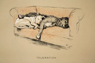 Toleration, 1930, 1. wydanie "Sleeping Partners", Aldin, Cecil Charles Windsor (1870-1935), opublikowane przez Eyre and Spottiswoode Limited, kreda i węgiel na papierze